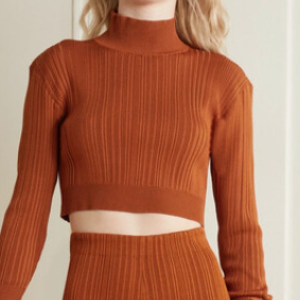 Herve Leger Cropped Lace-up Ribbed-knit Turtleneck- NWOT